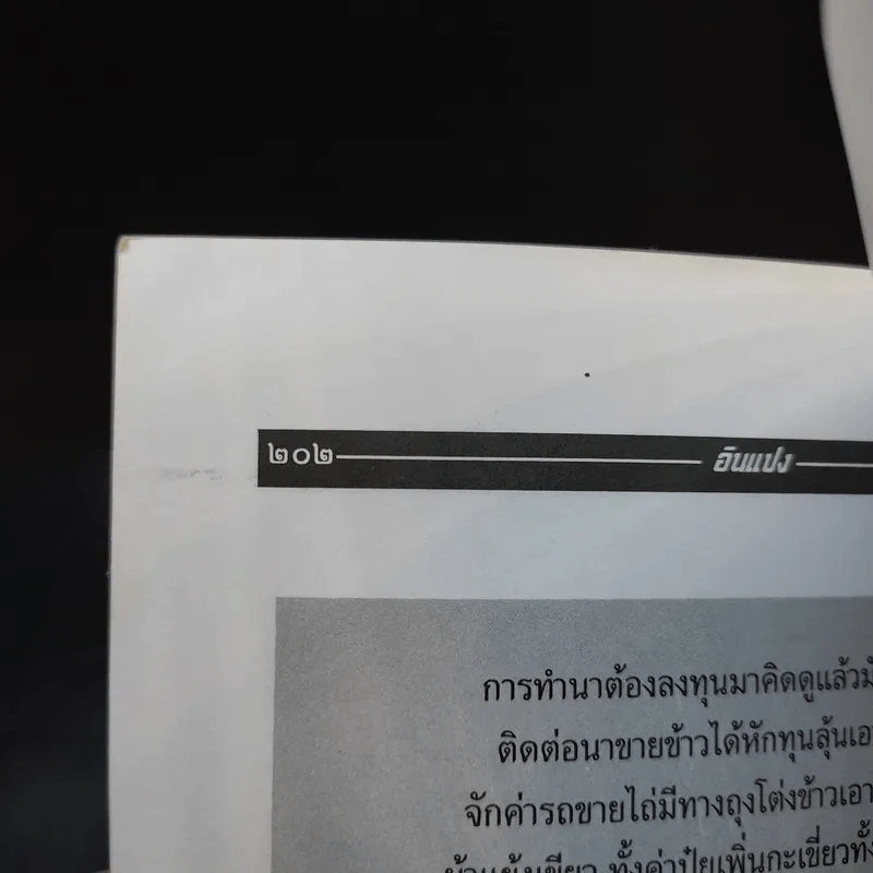 อินแปง อยู่อย่างมีศักดิ์ศรีและมีกินตลอดชีวิต - เสรี พงศ์พิศ รูปที่ 11