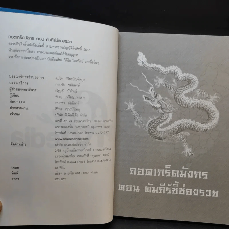ถอดเกร็ดมังกร ตอน คัมภีร์ชี้ช่องรวย - พิษณุ เหรียญมหาสาร รูปที่ 8