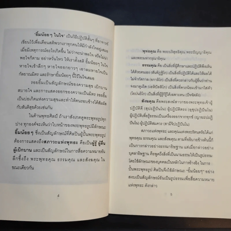 ธุดงค์ญี่ปุ่น - พระอาจารย์มิตซูโอะ คเวสโก รูปที่ 11