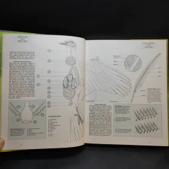 The Complete Cage and Aviary Bird รูปที่ 13