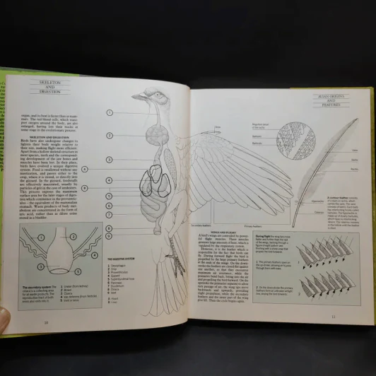 The Complete Cage and Aviary Bird รูปที่ 13
