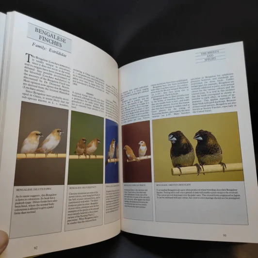 The Complete Cage and Aviary Bird รูปที่ 17