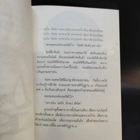 ดูจิตธรรมปฏิบัติ มหาสติปัฏฐาน 4 อริยมรรคมีองค์ 8 - พระอาจารย์ธมมทีโป รูปที่ 11