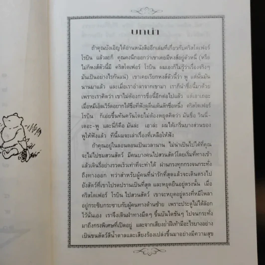วินนี่เดอะพูห์ Winnie the Pooh - เอ.เอ.มิลน์ รูปที่ 13