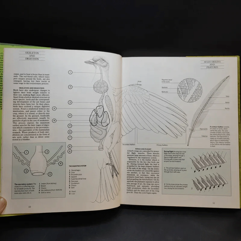 The Complete Cage and Aviary Bird รูปที่ 13