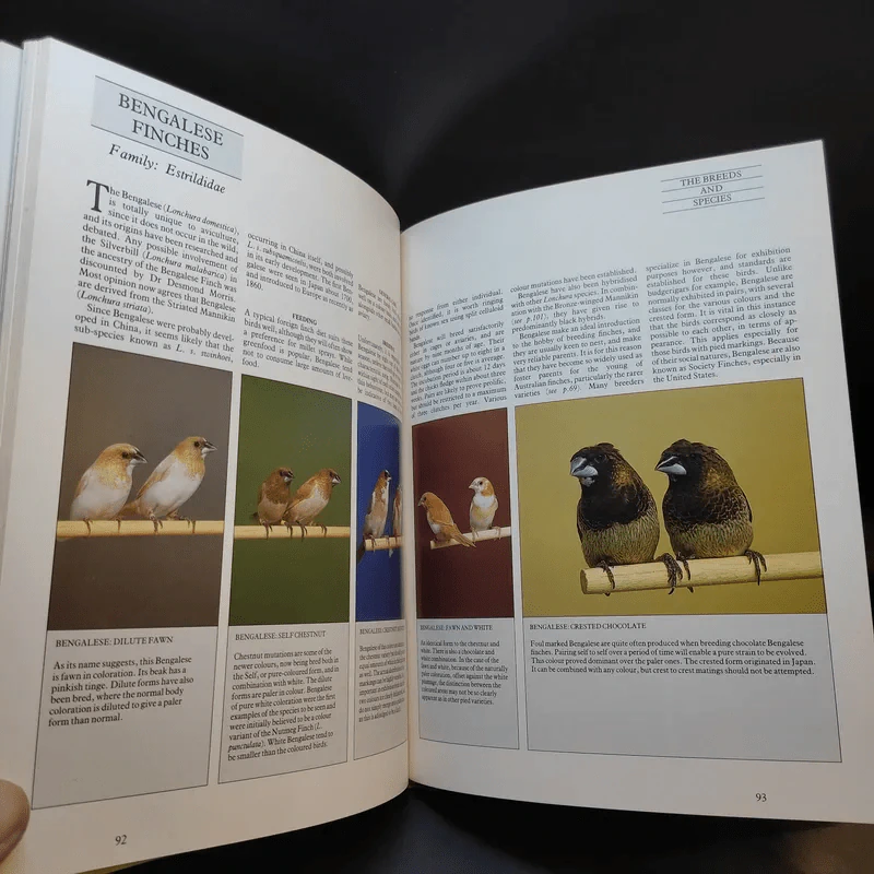 The Complete Cage and Aviary Bird รูปที่ 17