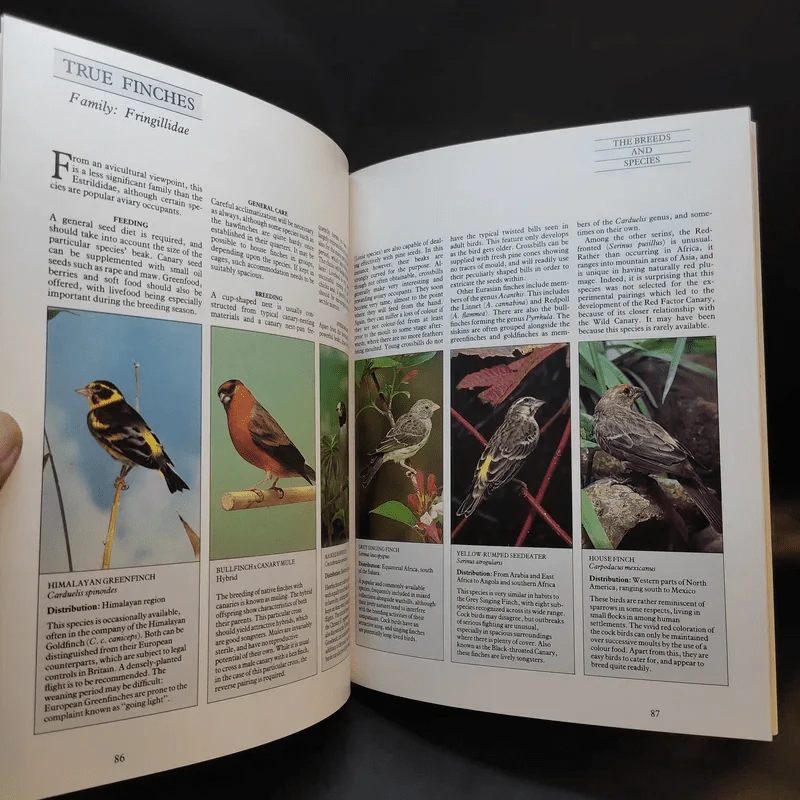 The Complete Cage and Aviary Bird รูปที่ 16