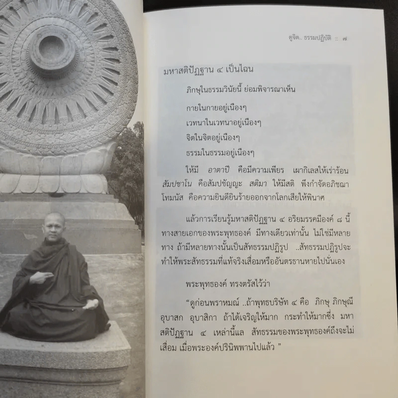 ดูจิตธรรมปฏิบัติ มหาสติปัฏฐาน 4 อริยมรรคมีองค์ 8 - พระอาจารย์ธมมทีโป รูปที่ 12