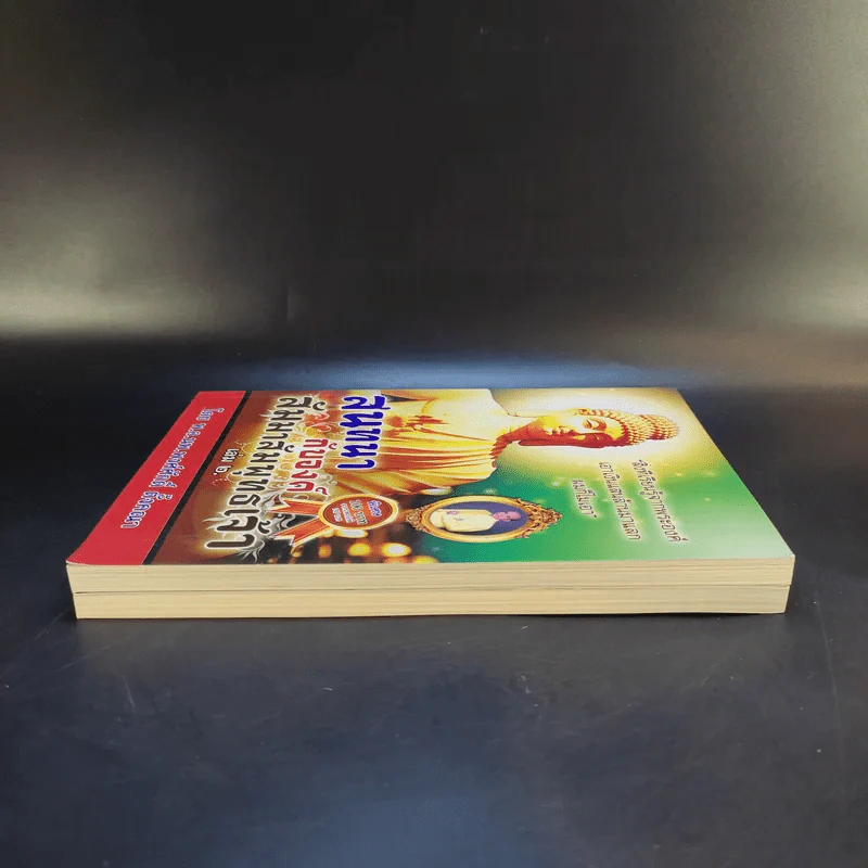 สนทนากับองค์สัมมาสัมพุทธเจ้า เล่ม 1-2 - พ.อ.นพ.พงศ์ศักดิ์ ตั้งคณา รูปที่ 5