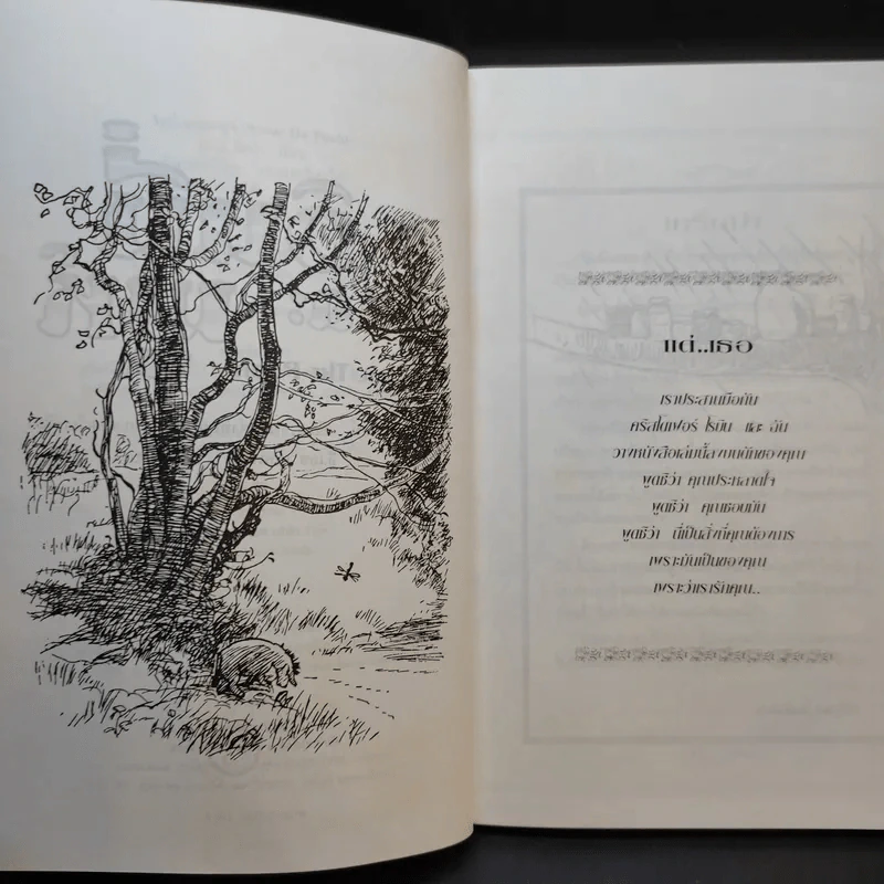 วินนี่เดอะพูห์ Winnie the Pooh - เอ.เอ.มิลน์ รูปที่ 10