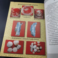 บูรพาจารย์ - ท่านพระอาจารย์มั่น ภูริทตตเถร รูปที่ 15