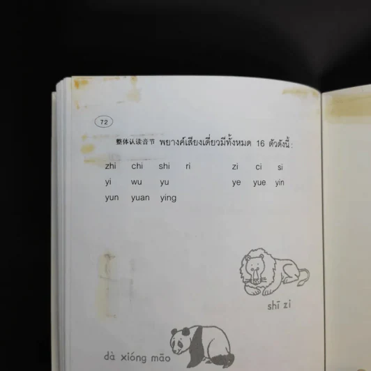 ความรู้เบื้องต้นเกี่ยวกับการออกเสียง ภาษาจีนกลางแบบรวบรัดตามวิธีของ Hanyu Pinyin รูปที่ 11
