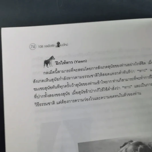 108 กลเม็ดฝึกสุนัข - พ.ต.อ.(พิเศษ)วิทิต ปัตตะโชติ รูปที่ 17