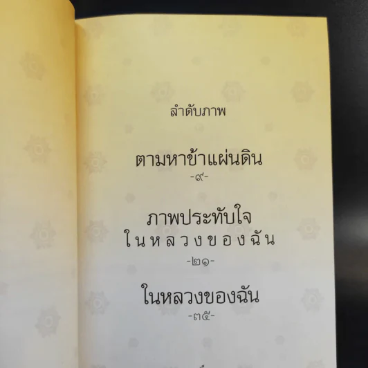 ในหลวงของฉัน รูปที่ 8