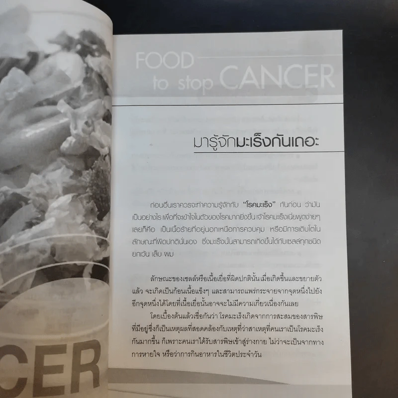 เคล็ดสำคัญเรื่องอาหารการกินต้านมะเร็ง - กาญจนา ลิขิตสถาพร รูปที่ 10