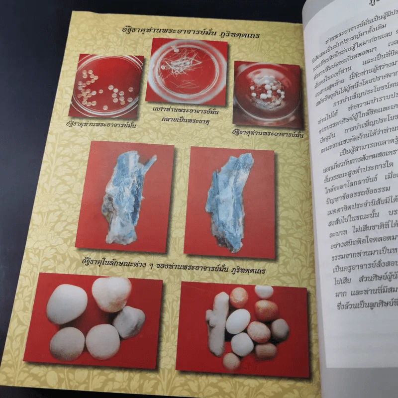 บูรพาจารย์ - ท่านพระอาจารย์มั่น ภูริทตตเถร รูปที่ 15