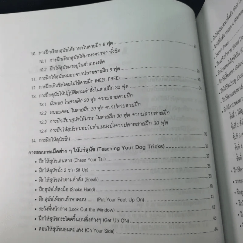 108 กลเม็ดฝึกสุนัข - พ.ต.อ.(พิเศษ)วิทิต ปัตตะโชติ รูปที่ 11
