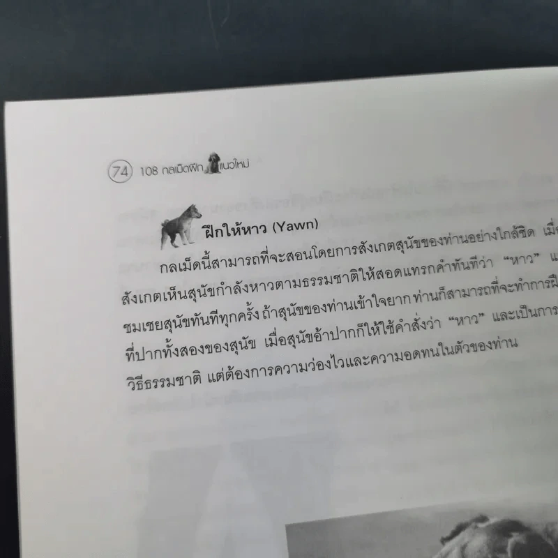 108 กลเม็ดฝึกสุนัข - พ.ต.อ.(พิเศษ)วิทิต ปัตตะโชติ รูปที่ 17