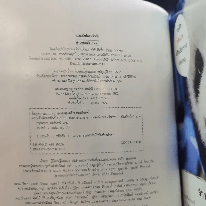 แพนด้าน้อย หลินปิง รูปที่ 9