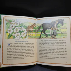 Black Beauty รูปที่ 9