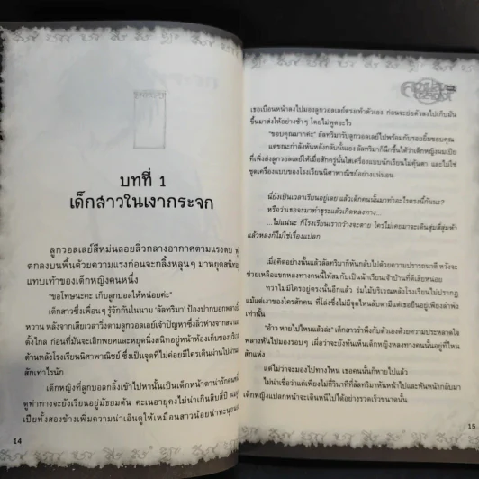 การิน ปริศนาคดีอาถรรพ์ ความลับของกระจกเงา รูปที่ 13