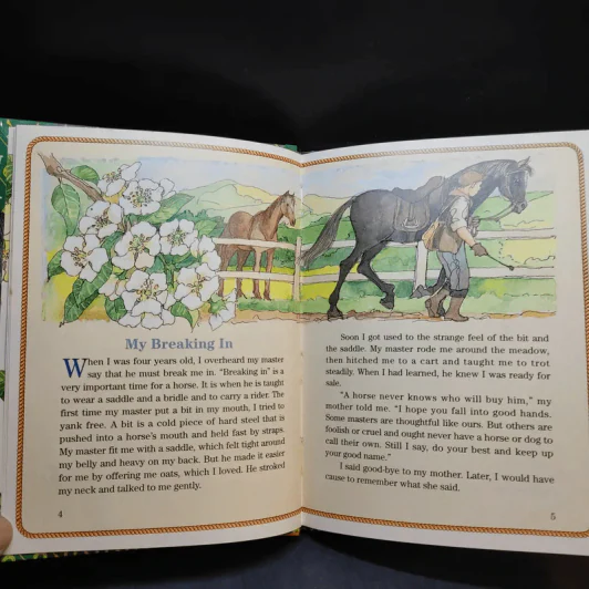 Black Beauty รูปที่ 9