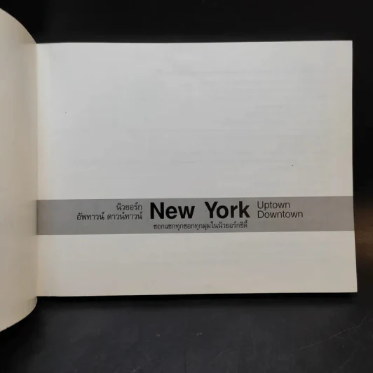 นิวยอร์ก อัพทาวน์ ดาวน์ทาวน์ New York Uptown Downtown รูปที่ 8
