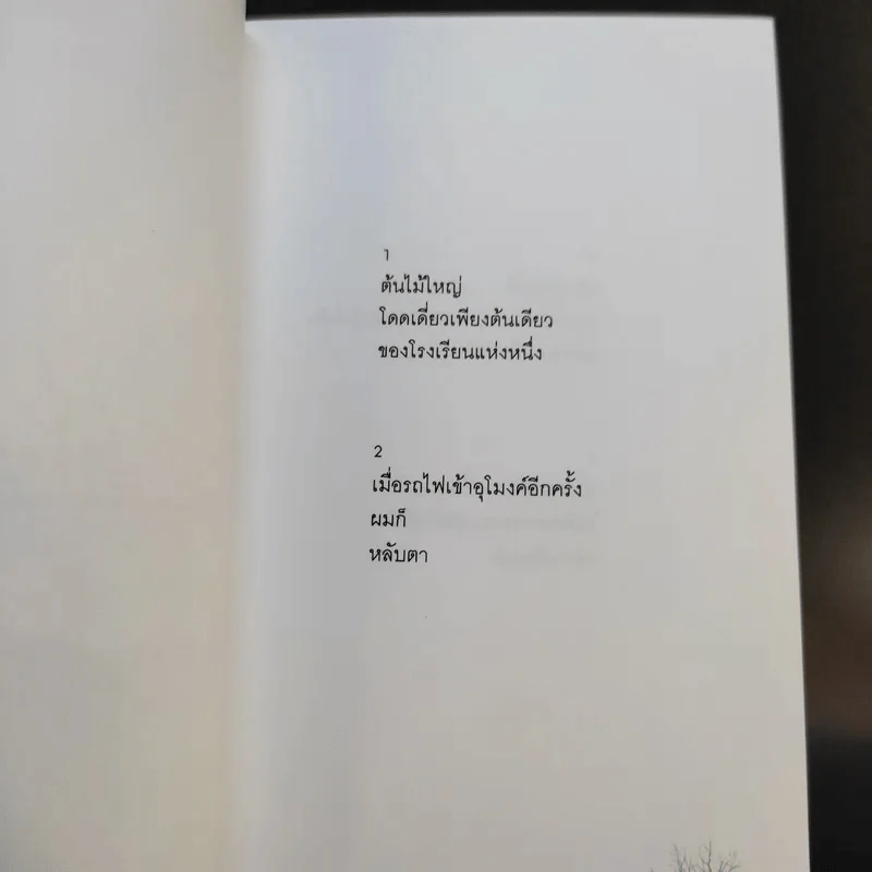 บทกวีแคนโต้ หมายเลข 1-2 - ฟ้า พูลวรลักษณ์ รูปที่ 15