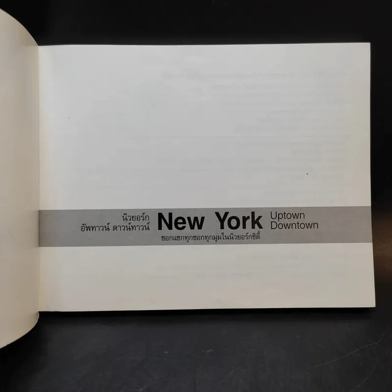 นิวยอร์ก อัพทาวน์ ดาวน์ทาวน์ New York Uptown Downtown รูปที่ 8