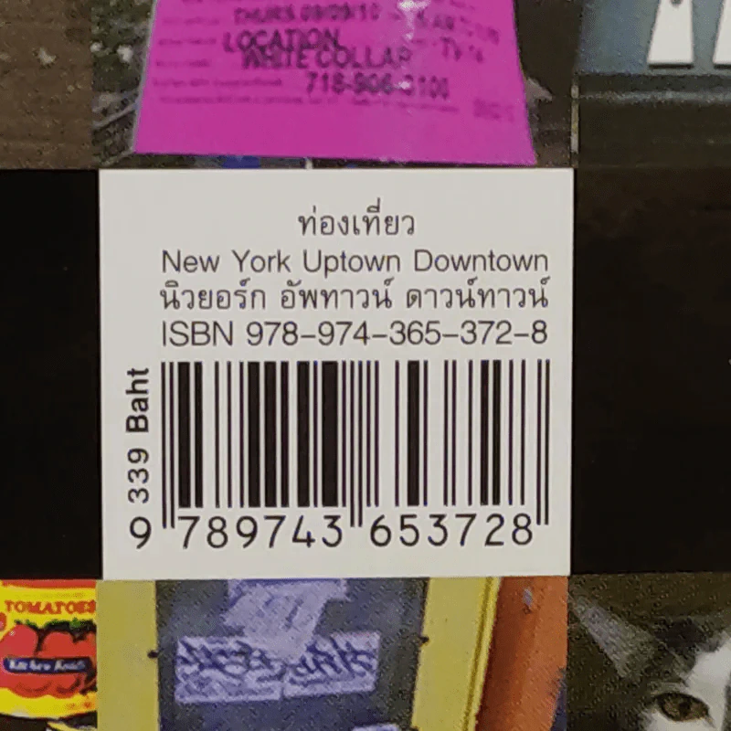 นิวยอร์ก อัพทาวน์ ดาวน์ทาวน์ New York Uptown Downtown รูปที่ 16