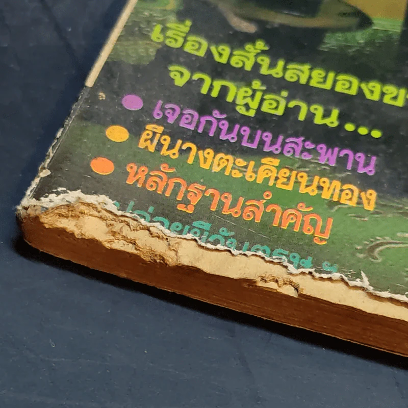 ประสบการณ์สยองขวัญ 3 รูปที่ 8
