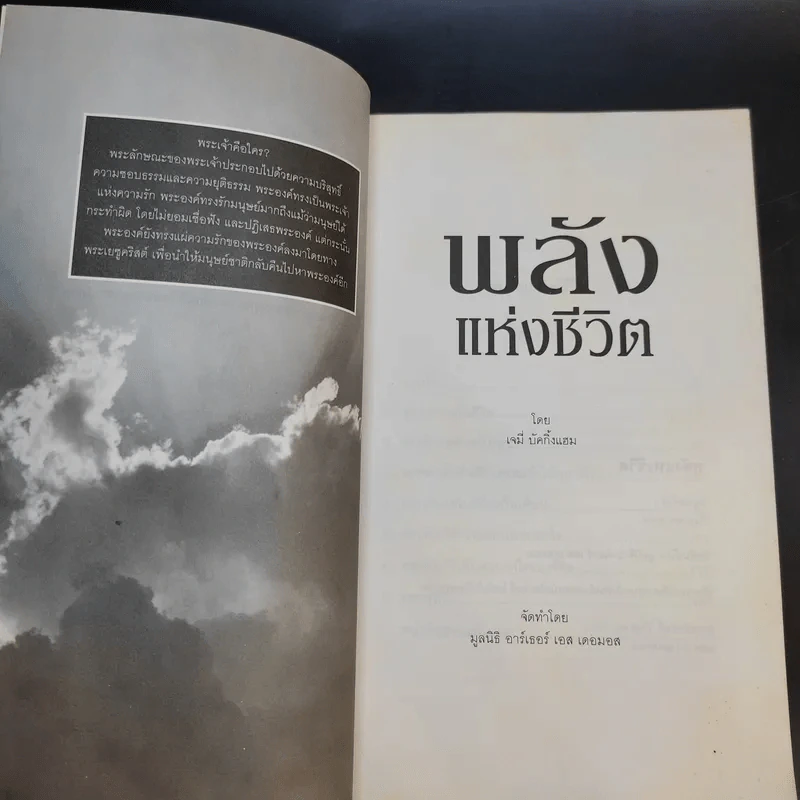 พลังแห่งชีวิต - มูลนิธิ อาร์เธอร์ เอส เดอมอส รูปที่ 8