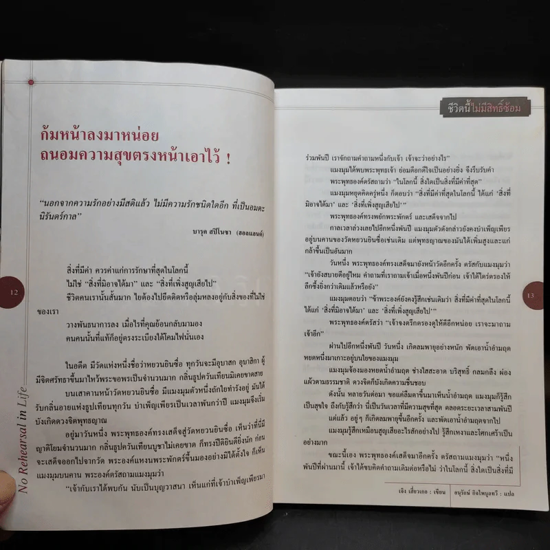 ชีวิตนี้ไม่มีสิทธิ์ซ้อม รูปที่ 12