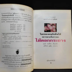 คู่มือคนรักต้นไม้ ไม้ดอกกระถาง - อฤชร พงษ์ไสว รูปที่ 8