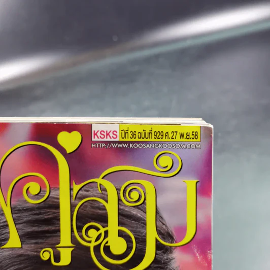 คู่สร้างคู่สม ปีที่ 36 ฉบับที่ 929 พ.ย.2558 ปอ ทฤษฎี รูปที่ 7