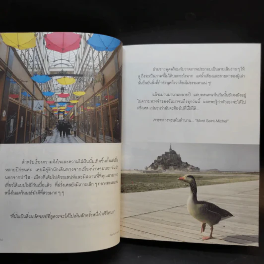 Paris in Love ปารีส อิน เลิฟ - สู่ขวัญ อรรถจารุสิทธิ์ รูปที่ 12