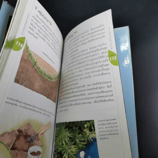 มือใหม่จัดสวน Easy Gardening - ทิพาพรรณ ศิริเวชฎารักษ์ รูปที่ 18