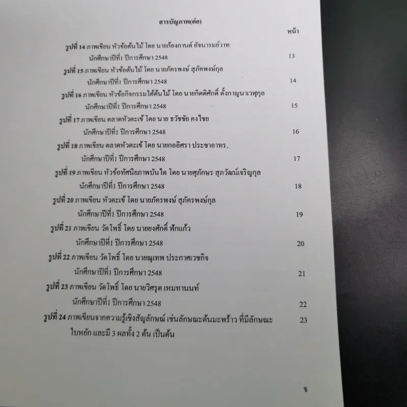 วาดรูปไม่สวยผิดตรงไหน - ธิติ ตริตระการ รูปที่ 12