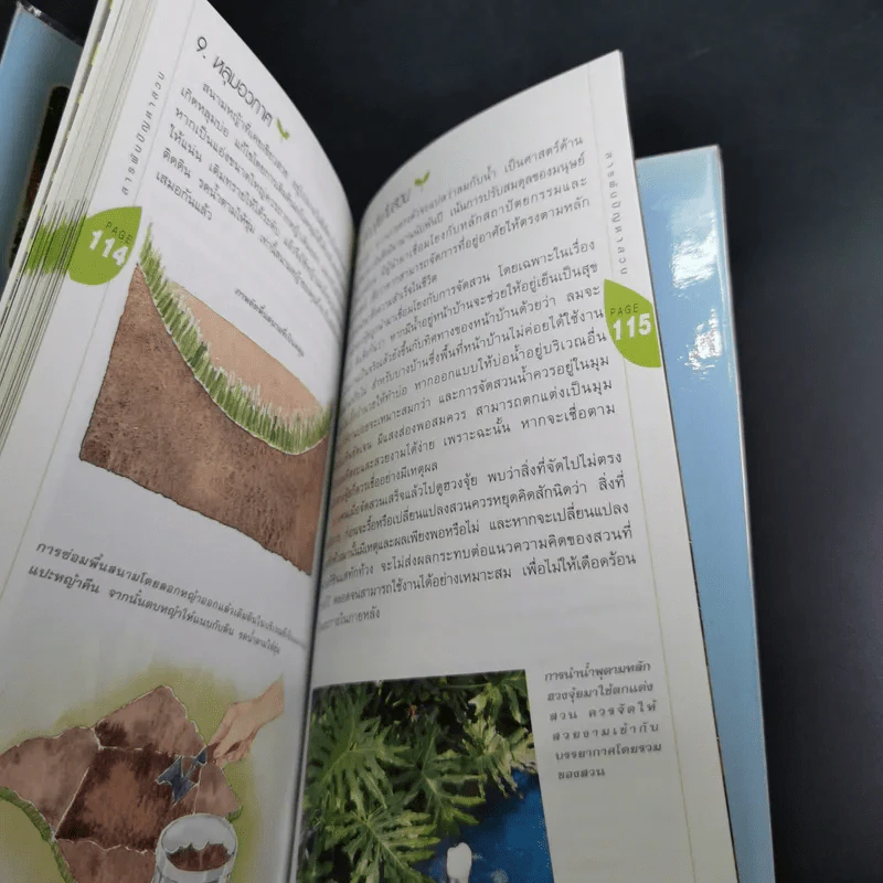 มือใหม่จัดสวน Easy Gardening - ทิพาพรรณ ศิริเวชฎารักษ์ รูปที่ 18