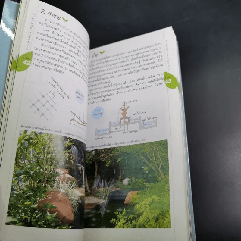 มือใหม่จัดสวน Easy Gardening - ทิพาพรรณ ศิริเวชฎารักษ์ รูปที่ 16