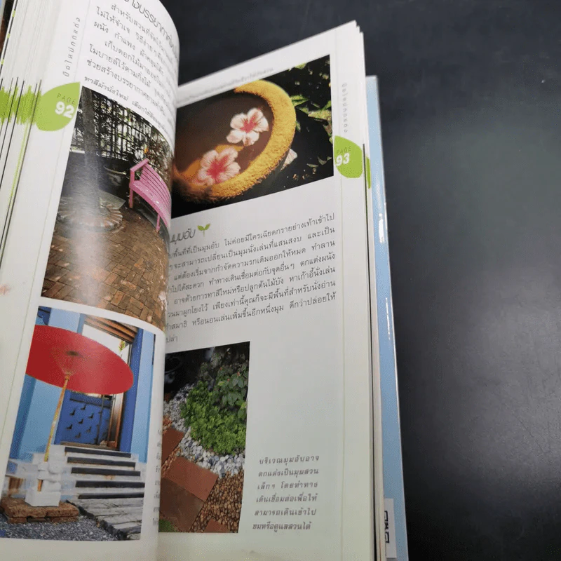 มือใหม่จัดสวน Easy Gardening - ทิพาพรรณ ศิริเวชฎารักษ์ รูปที่ 17