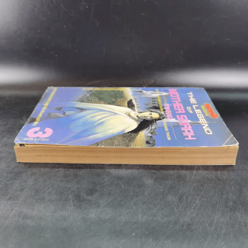 The Legend of Mother Sarah ค่าของแม่ เล่ม 3 รูปที่ 5