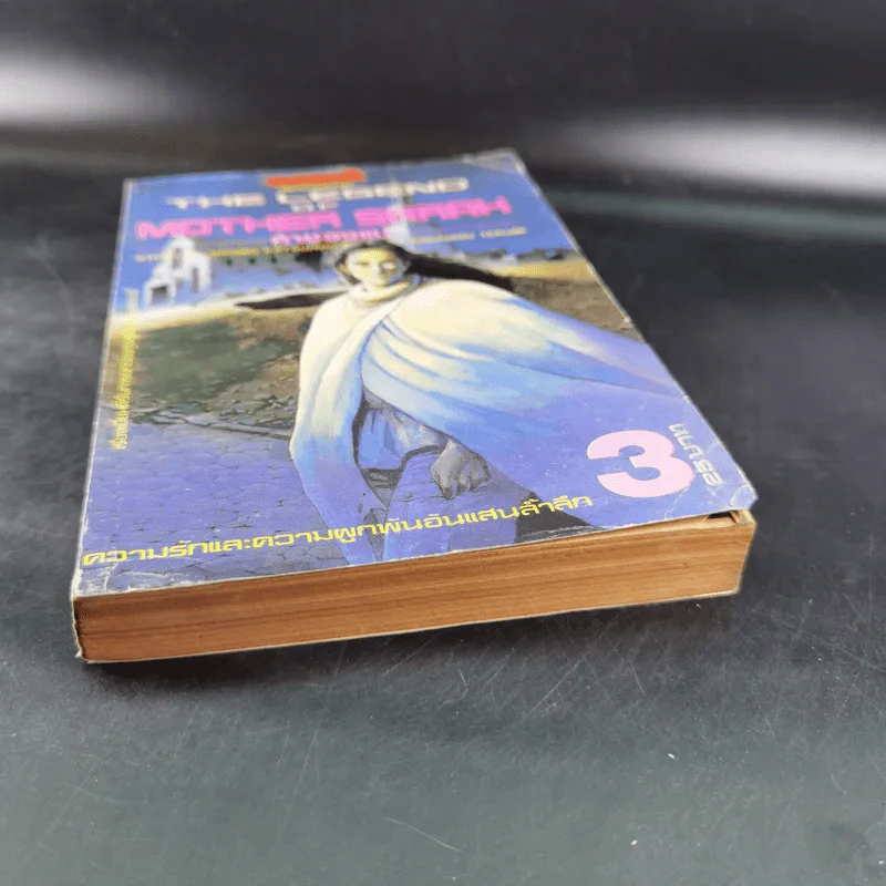 The Legend of Mother Sarah ค่าของแม่ เล่ม 3 รูปที่ 4