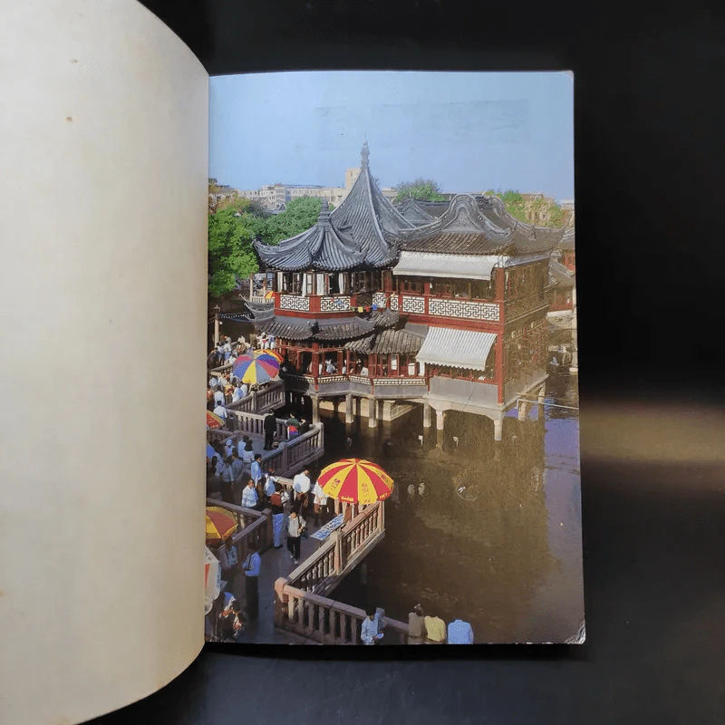 Shanghai - Nancy Johnston รูปที่ 8