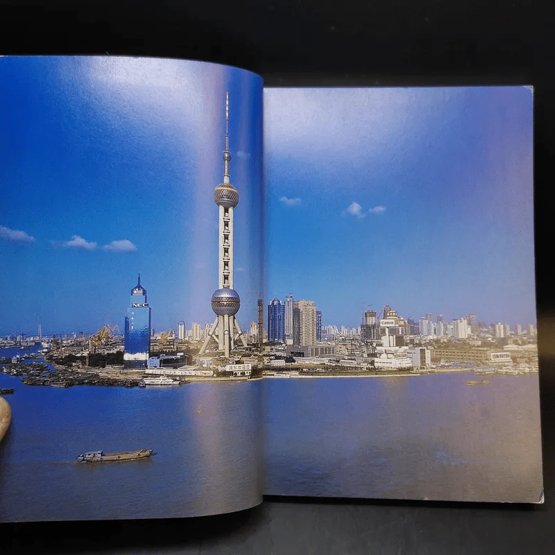 Shanghai - Nancy Johnston รูปที่ 10