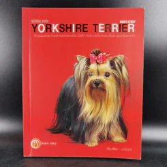 Yorkshire Terrier Dog's Story - นวมินทร์ รูปที่ 1