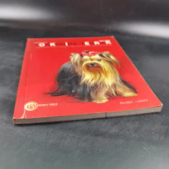 Yorkshire Terrier Dog's Story - นวมินทร์ รูปที่ 4