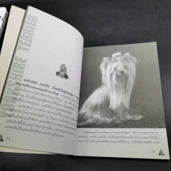 Yorkshire Terrier Dog's Story - นวมินทร์ รูปที่ 10