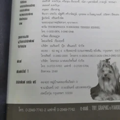 Yorkshire Terrier Dog's Story - นวมินทร์ รูปที่ 7