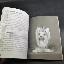 Yorkshire Terrier Dog's Story - นวมินทร์ รูปที่ 11